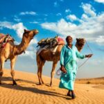 How to Find the Best Budget-Friendly Group Tours