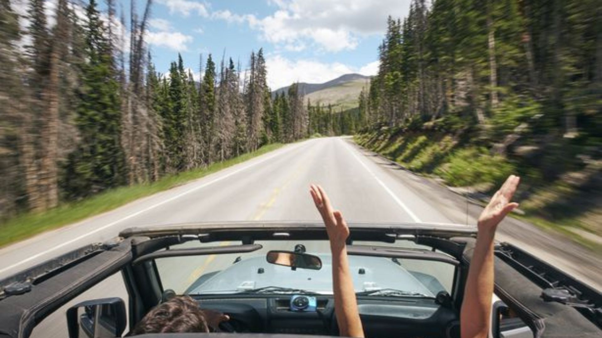 Road Trip Tours for Nature Lovers.