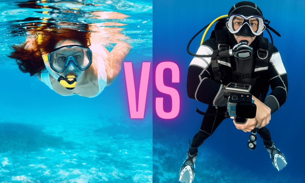 Scuba Diving vs. Snorkeling