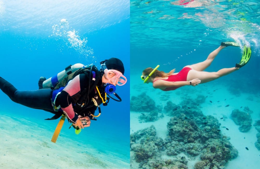 Scuba Diving vs. Snorkeling Which is More Thrilling