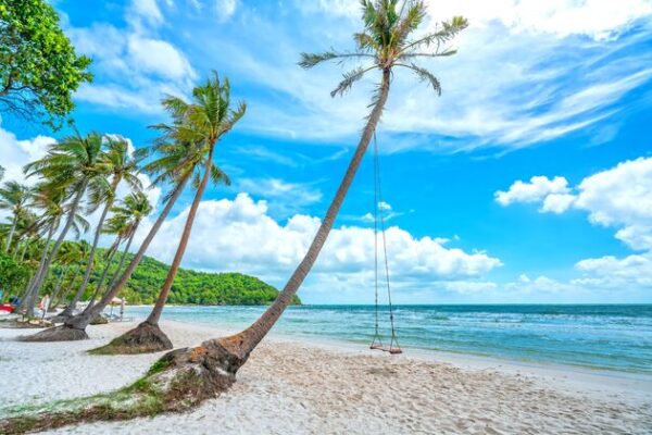 The Best Tropical Destinations for a Relaxing Getaway